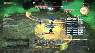 FFXIV Containment Bay S1T7 normal 3er phase solo healing [upl. by Fraase]