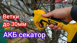 Аккумуляторный секатор для сада и огорода  обзор Denzel CP30 [upl. by Karyl]