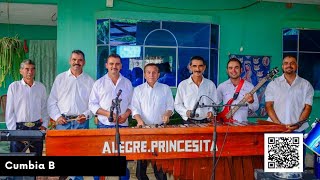 Cumbia B  Marimba Alegre Princesita [upl. by Nady]