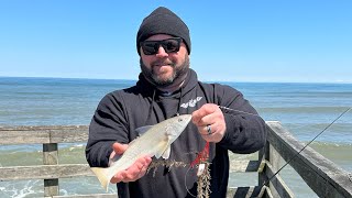 Fishing the Outer Banks Fishing Pier Nags Head NC April 2024 [upl. by Larue]