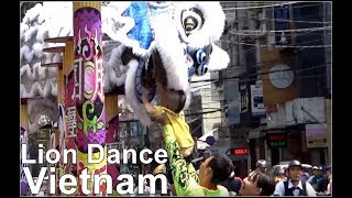 Vietnam New Year  beautiful Lion Dance in Saigon  HCM City Street Lion Dance [upl. by Ellehcyt]