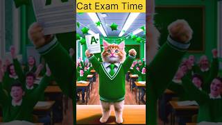 Cat exam time love cat short ytshort viralshort ai newvideo trendingdog [upl. by Arekahs560]