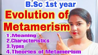 METAMERISM  Evolution of Metamerism  Segmentation in Biology [upl. by Vivle]