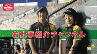 阪神甲子園球場のお仕事紹介！ [upl. by Oalsinatse]