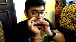 Pucho na yaar keya hua Harmonica [upl. by Ecenaj]