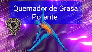 ☄️2958 Hz  Frecuencia de quema de grasa extremadamente potente  Quema de células grasas [upl. by Marketa]