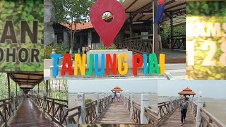 EXPLORING TANJUNG PIAI NATIONAL PARKJOHOR MALAYSIADhees Videostanjungpiai nationalpark johor [upl. by Anazraf668]