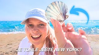 JE TOHLE JEŠTĚ NEW YORK  NYC Diaries [upl. by Nylarad776]