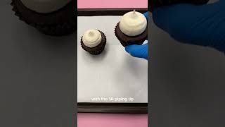 HOW TO USE A STENCIL ON A CUPCAKE [upl. by Strait137]