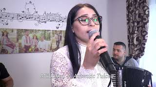 Autentic Tulcea Dragostea mea floare rara live Cover Simina Stanciu [upl. by Frederich178]