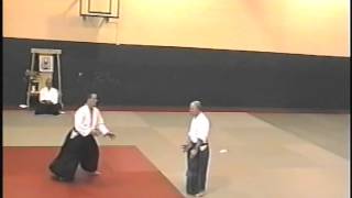 Best Aikido Demonstration [upl. by Gothart]