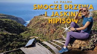 5 Smocze drzewa i jaskinie hipisów 🐉👣 La Palma Wyspy Kanaryjskie 🔭🏝️🌋 [upl. by Akinahc]