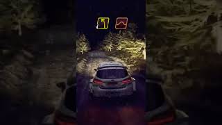 DIRT RALLY 20 FAST amp CLEAN [upl. by Ulric]