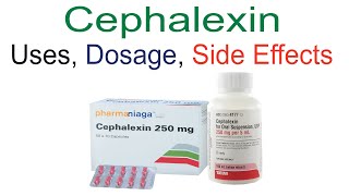 Cephalexin Cefalexin Uses Dose and Side Effects [upl. by Carly860]