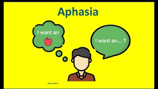 Aphasia Types of aphasia Classifiication of aphasia Wernickes  Brocas aphasia Global aphasia [upl. by Maretz]