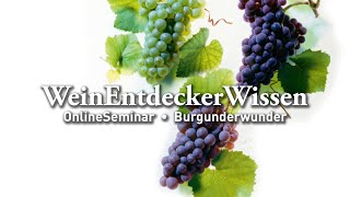 Burgunderwunder – WeinEntdeckerWissen OnlineSeminar [upl. by Nogas]