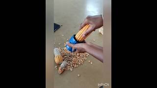 Groundnut decorticatormaize shelleragri implementstechnology agri afo agriculture [upl. by Fredek540]