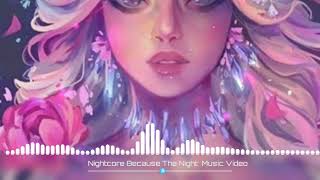 Nightcore Because The Night Music Video [upl. by Ramal215]