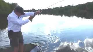 Dry Fly Hopper Fly Fishing Smallmouth Bass [upl. by Anevad]