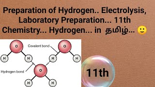 Preparation of hydrogen Electrolysis laboratory method  11th chemistry Hydrogen in tamil🙂 [upl. by Birchard]