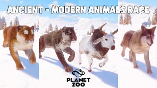 Smilodon Zebu Homotherium Mexican Gray Wolf Marmoset  Planet Zoo Animals Race [upl. by Yzzik418]