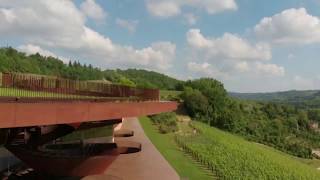 Antinori nel Chianti Classico Winery [upl. by Doownel]