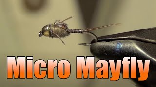 Micro Mayfly Fly Tying  Mike Mercer Fly Pattern [upl. by Nihahs]