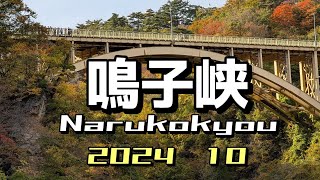 宮城県 鳴子峡 MIYAGI Narukokyou [upl. by Yznil]