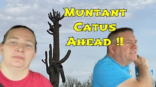 OffRoad Adventure to Find Rare Mutant Saguaro Cacti  AampG Adventures [upl. by Deron]