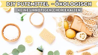 DIY  Putzmittel selbst herstellen OHNE CHEMIE amp unmengen an Geld sparen I Alenas Momlife [upl. by Freeland]