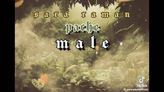 Pache Male by Sararaman upcoming song 2024💥💥 [upl. by Naujit]