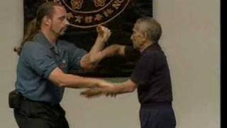 Ip chun chi sau Shaun Rawcliffe and otherswmv [upl. by Arebma]