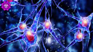 Damaged Brain Healing amp Nerve Regeneration  Brain Waves Therapy Music  Binaural Beats Meditation [upl. by Salazar134]