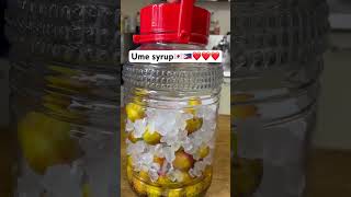 Ume Syrup diy [upl. by Eeraj]