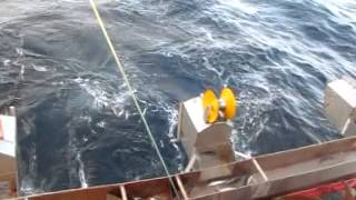 Jigging Mackerel in Norwegian Waters [upl. by Daugherty159]