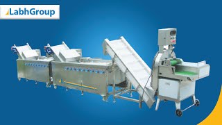 Fresh Fruits Cutting amp Washing Machine  Labh Group [upl. by Nerrawed410]