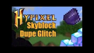 Hypixel Skyblock Invisible Dupe Method 189 2024 [upl. by Sualokin]