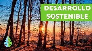 DESARROLLO SOSTENIBLE  Ventajas y desventajas del DESARROLLO SOSTENIBLE [upl. by Ellekcir]