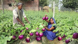 कार्तिक महिने में आंवले के पेड़ के निचे पूर्वजो का भोजन कैसे बनतेथे Litti Chokha Aur Handi Dal Chawal [upl. by Niamjneb789]