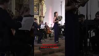 Solo horn Annemarie Federle Conductor Peter Bogaert EUREGIO ACADEMY ORCHESTRA [upl. by Kaia]