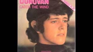 Donovan Catch The Wind Awesome old vinyl version [upl. by Narok]