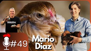 🎙️ Hablando de GALLINAS MAPUCHES  Podcast 49 con Mario Diaz [upl. by Sadye]