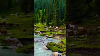 Kazakhstan 🇰🇿 travel music [upl. by Clova381]