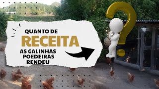 Galinha poedeira da lucro estimativa real de ganhos sustentabilidade rural campoevida9492 [upl. by Livvie832]