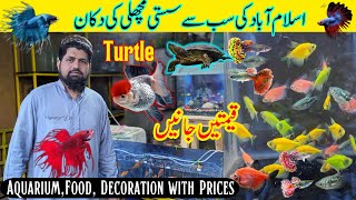 Fish Aquarium Shop Aquarium Fish Price in Pakistan  Fishes  Fish tank  Fish food  Gold fish [upl. by Eityak]