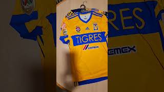 Jersey Tigres Campeón [upl. by Anaek]