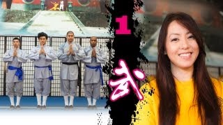 Shaolin Kung Fu Tutorial Part 1  Online Course [upl. by Stefanac258]