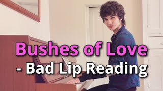 Bushes of Love  Bad Lip Reading cover [upl. by Enak510]