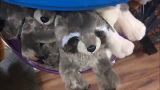 Webkinz Shopping at the ZOO feat xhuskykinzx [upl. by Corie]