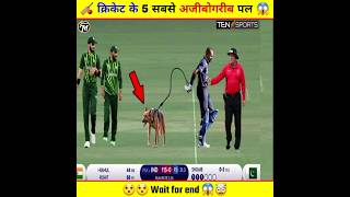 क्रिकेट के 5 सबसे अजीबोगरीब पल 🤯  Top 5 Most Rare Moments in Cricket  cricket shorts [upl. by Jasmine765]